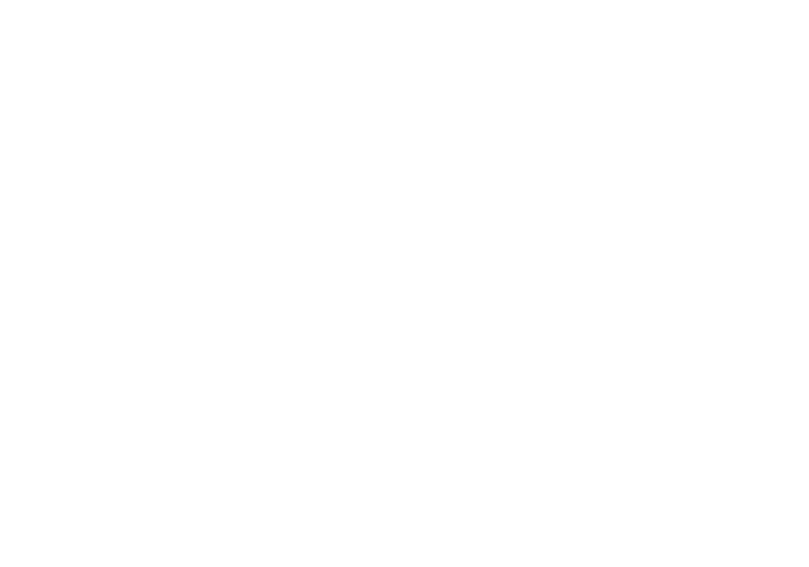 Atelier du Cameleon